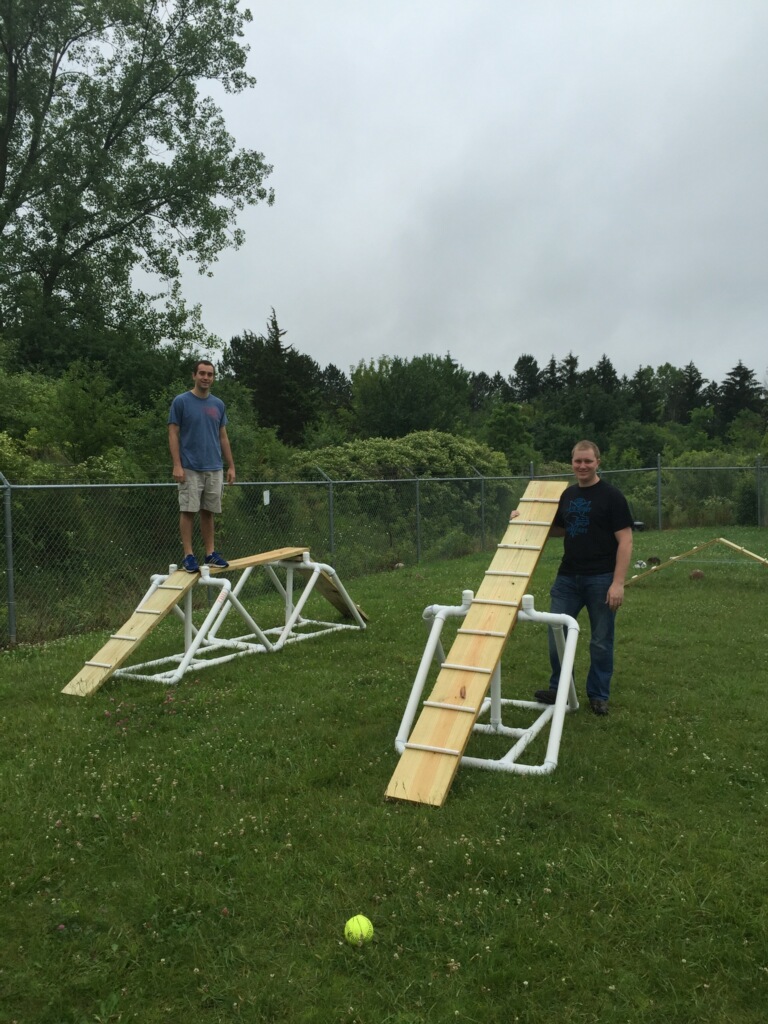 Agility Equipment